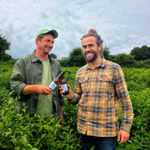 La Tea Coz, une bière artisanale bretonne au thé et 100% naturelle