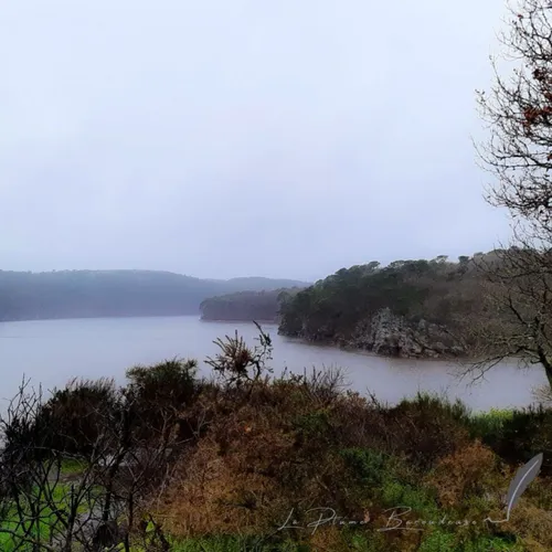 Le lac de Guerlédan