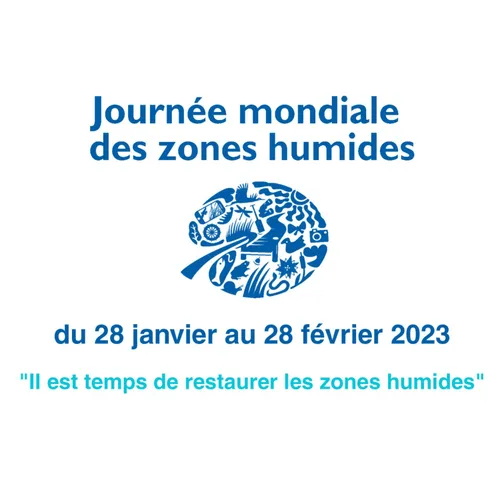 Découvrez les zones humides dans le Trégor