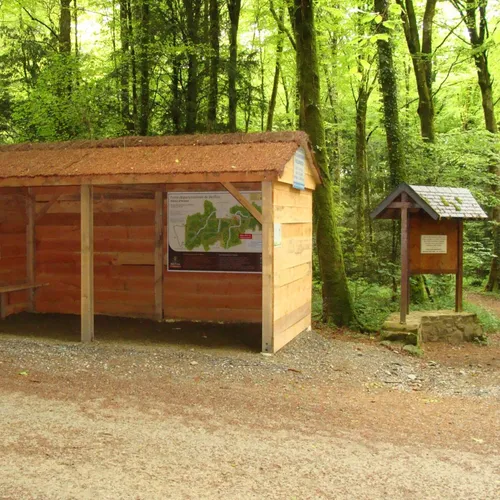 La forêt de Beffou : la plus haute de Bretagne !