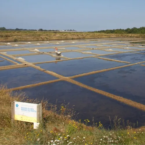 Balade entre marais et bocage