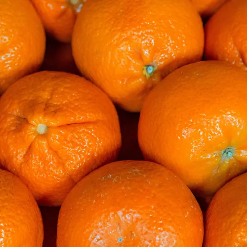 Recette: compoté de mandarine crème de pistache et graine de sarrasin