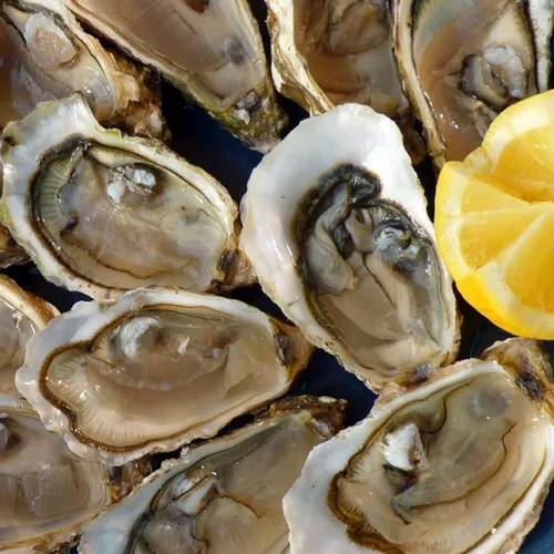 Tout ce qu'il faut savoir sur les huîtres