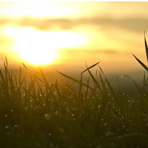 Pourquoi regarder le soleil nous fait-il éternuer ?