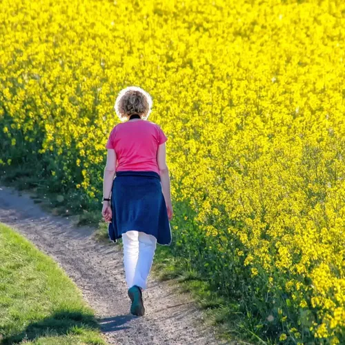 Faut-il vraiment faire 10 000 pas par jour pour être en bonne santé ?