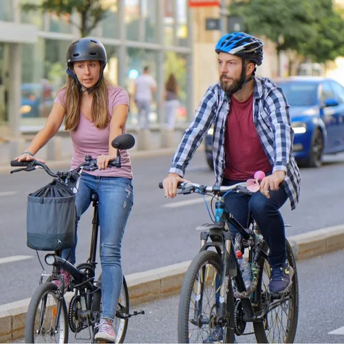 La poignée hollandaise