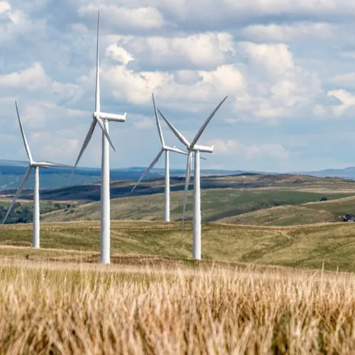 Pourquoi, dans un parc d'éoliennes, certaines sont arrêtées alors...
