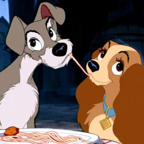 Les animaux peuvent-ils tomber amoureux comme nous ?