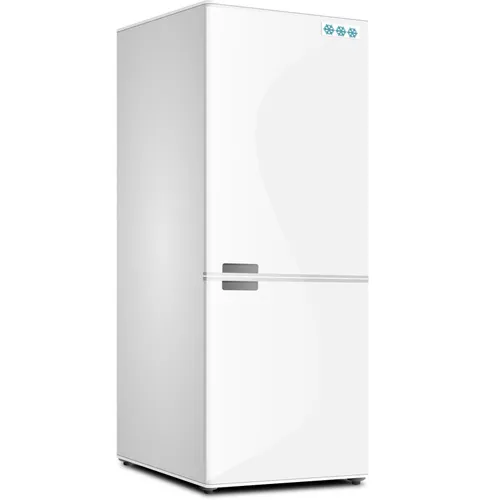 Pourquoi placer une pièce de monnaie dans son congélateur ?