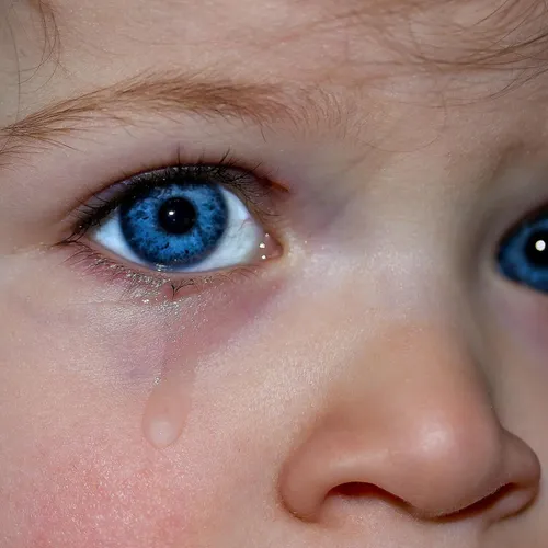 Pourquoi pleure-t-on ?