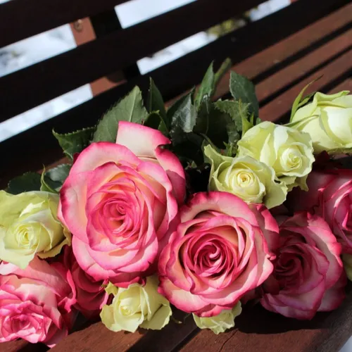Pourquoi offrir les roses en nombre impair  ?