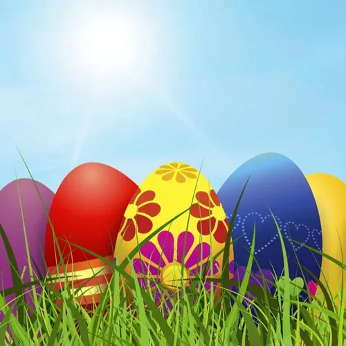 Le chocolat est dangereux pour les animaux de compagnie !!!