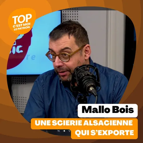 C'est moi le patron ! - Mallo Bois
