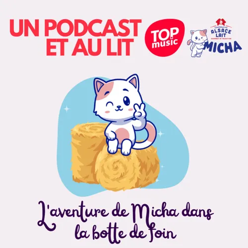 L'aventure de Micha dans la botte de foin