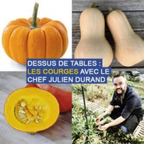 Dessus de tables du 10-10-2020 : Les Courges