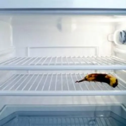 Dessus de tables du 25-01-2020 : La "cuisine du placard"