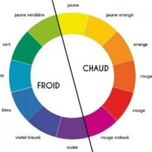 AVS du 15-01-2020 : La couleur des émotions - Karima Chahdi-Bahou