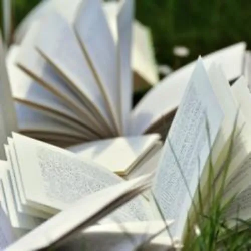 Book Club du 01-11-2020