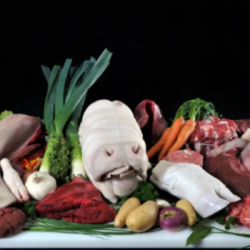 Dessus de tables 20-10-2018 : Les Produits Tripiers