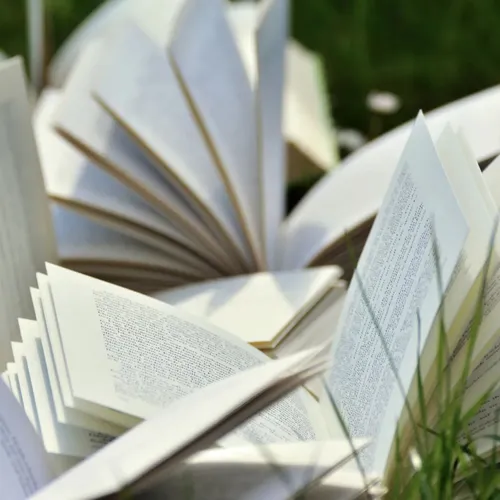 Book Club du 08-01-2023 : Caroline Dorka-Fenech