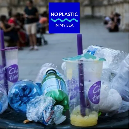 Valorisation de l’eau vue par No Plastic in My Sea