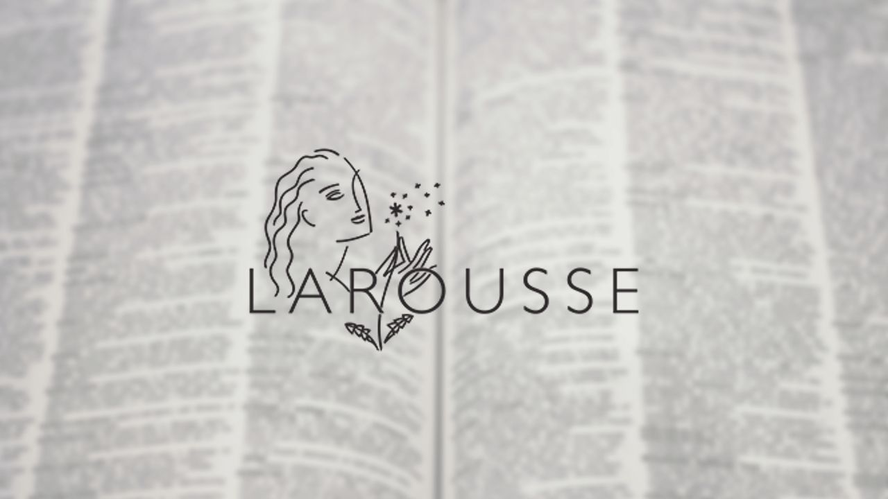 Wokisme, NFT, grossophobie... Le Larousse dévoile ses nouveaux mots !