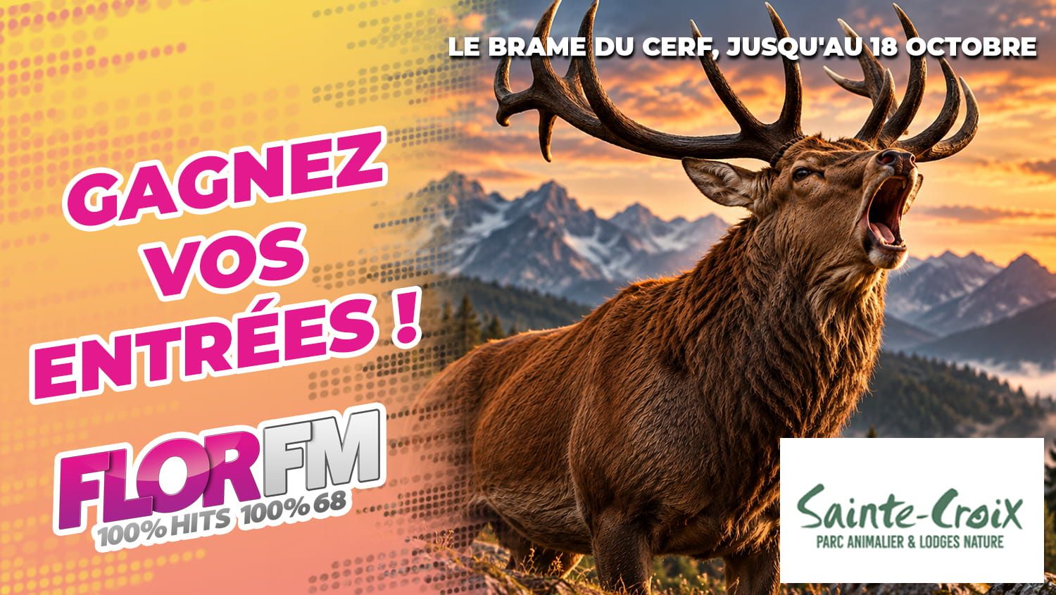 Jeux Concours