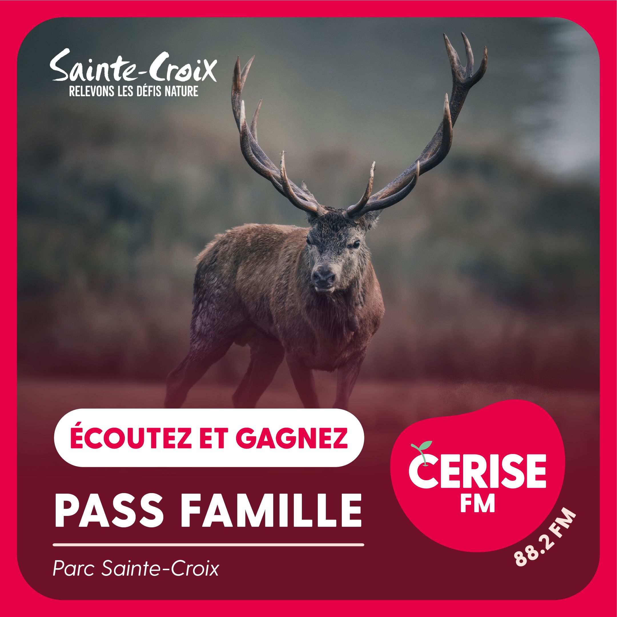 Jeux Concours