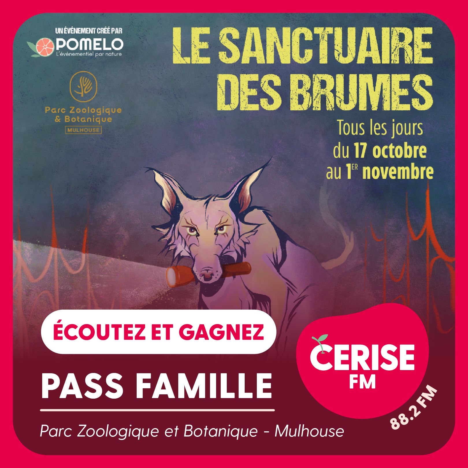 Jeux Concours