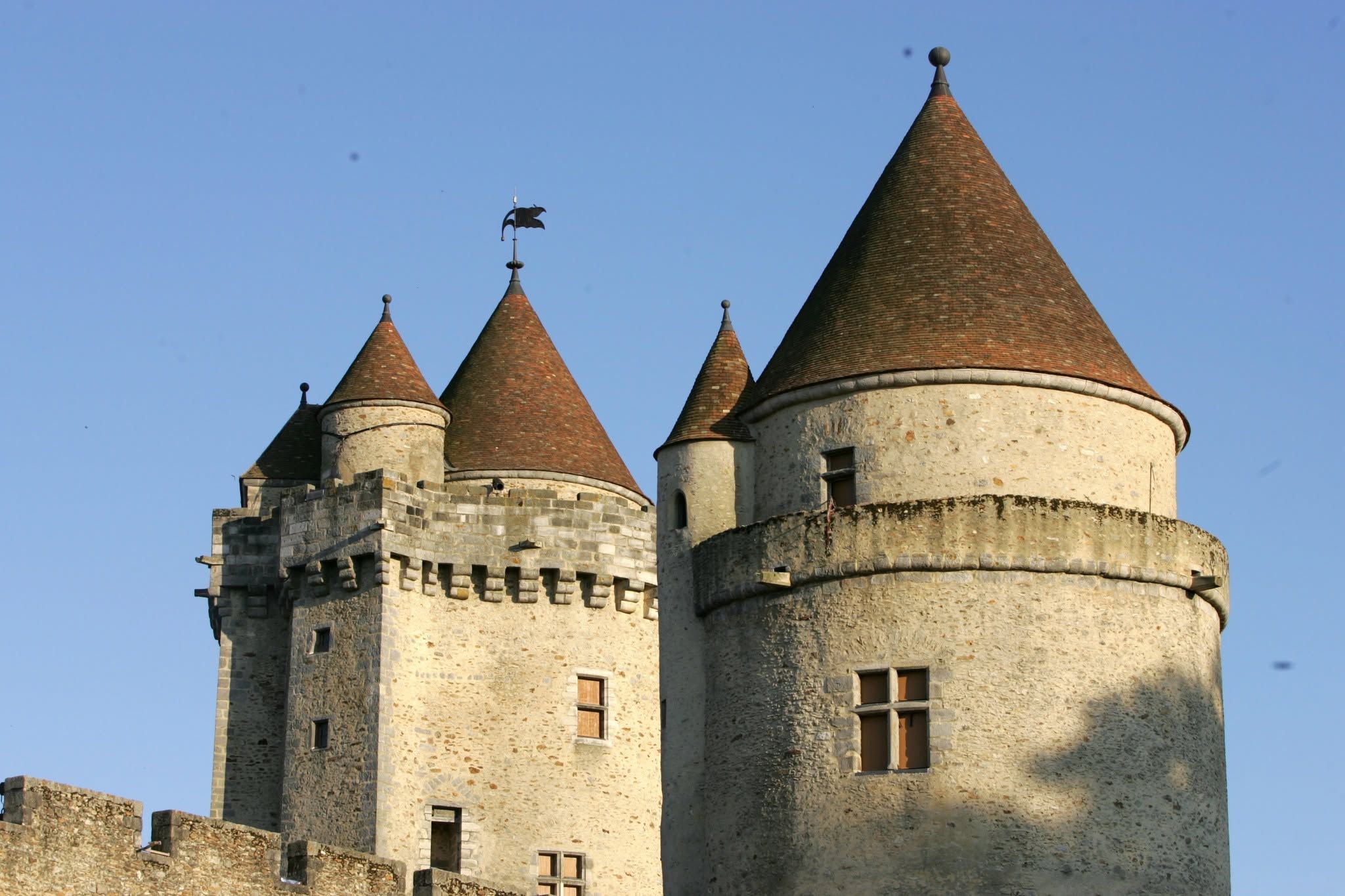 Open-Air Cinema Nights at Blandy-les-Tours Castle - News Directory 3