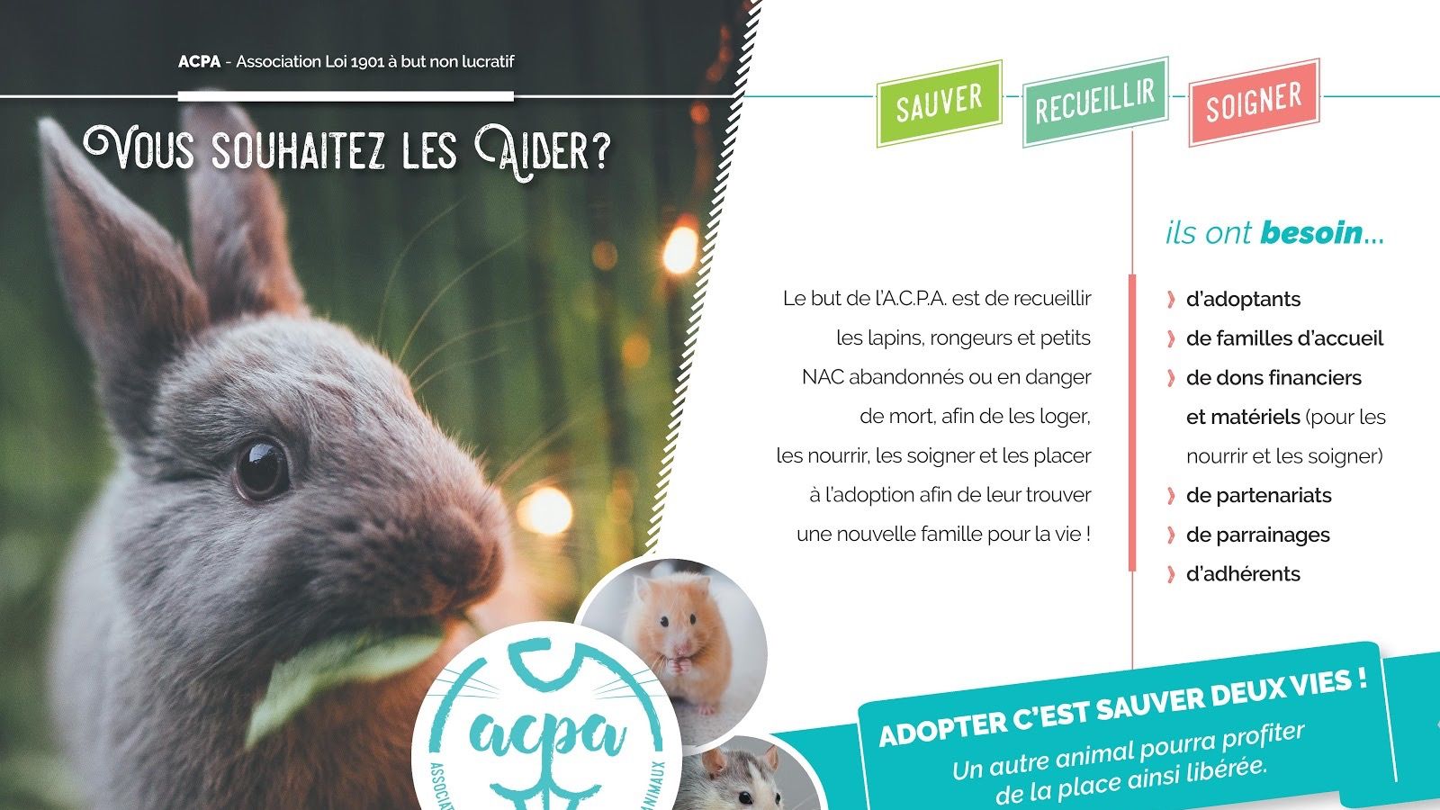 Orléans : depuis 10 ans, l’ACPA sauve les lapins et autres NAC