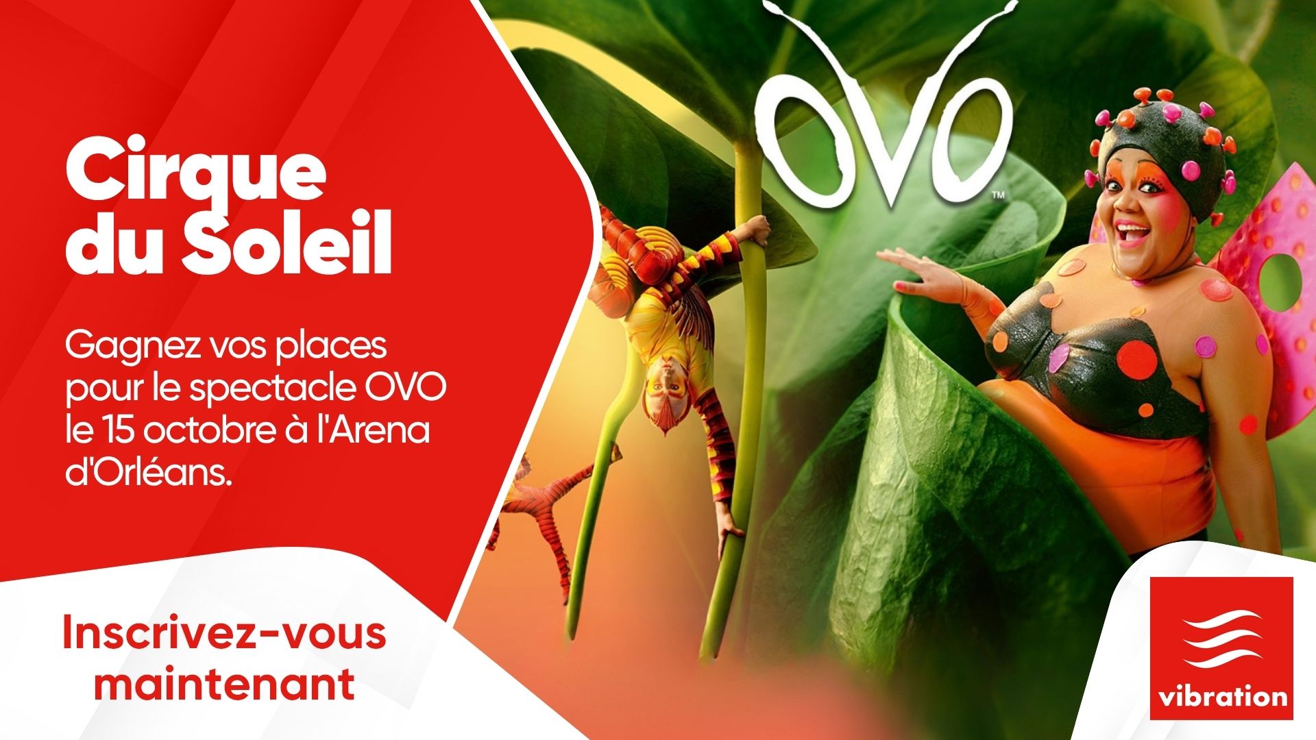 Cirque du Soleil : gagnez vos places pour le spectacle OVO à Orléans