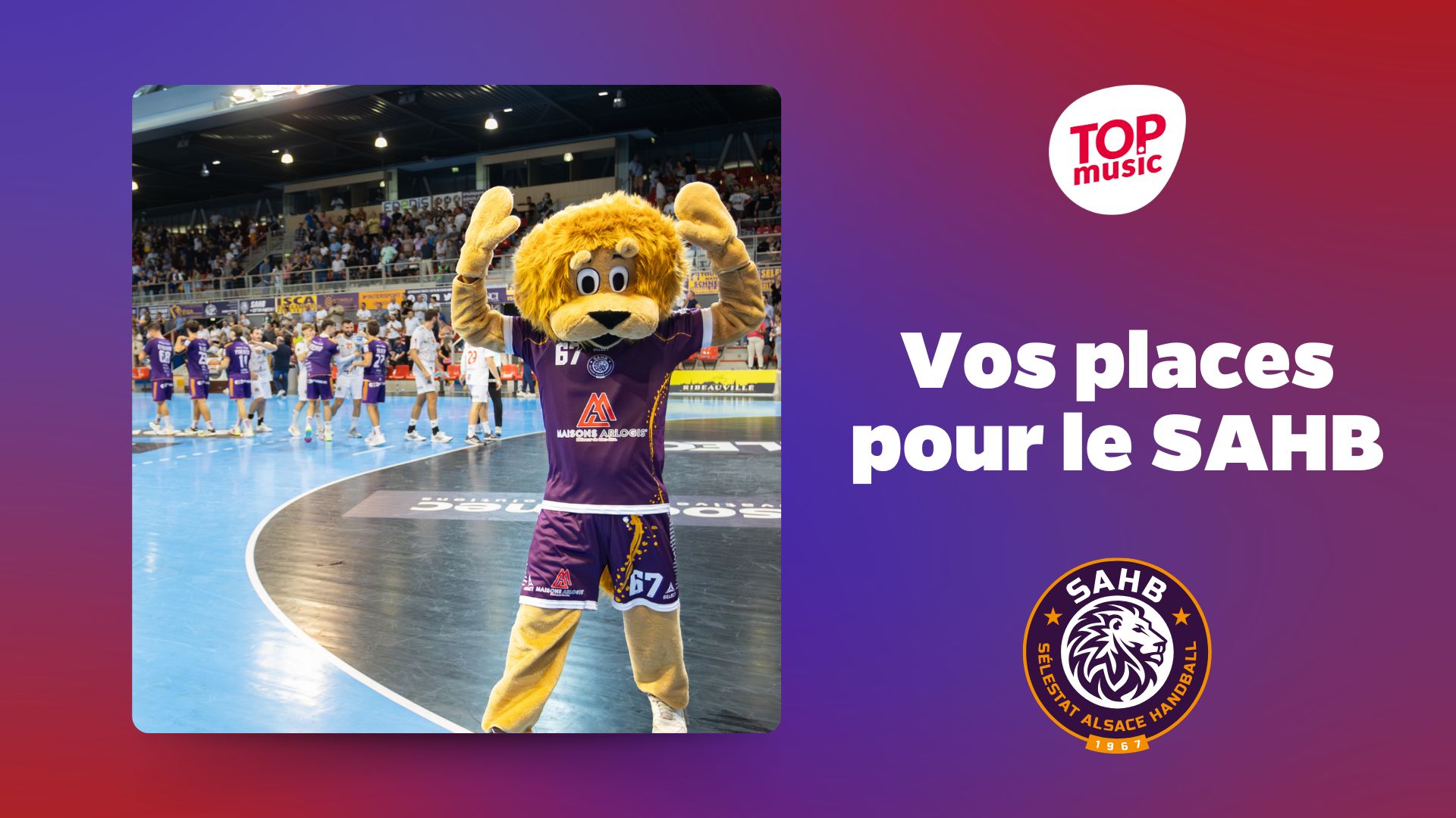 Gagnez vos places pour le match SAHB / Chambéry au CSI de Sélestat
