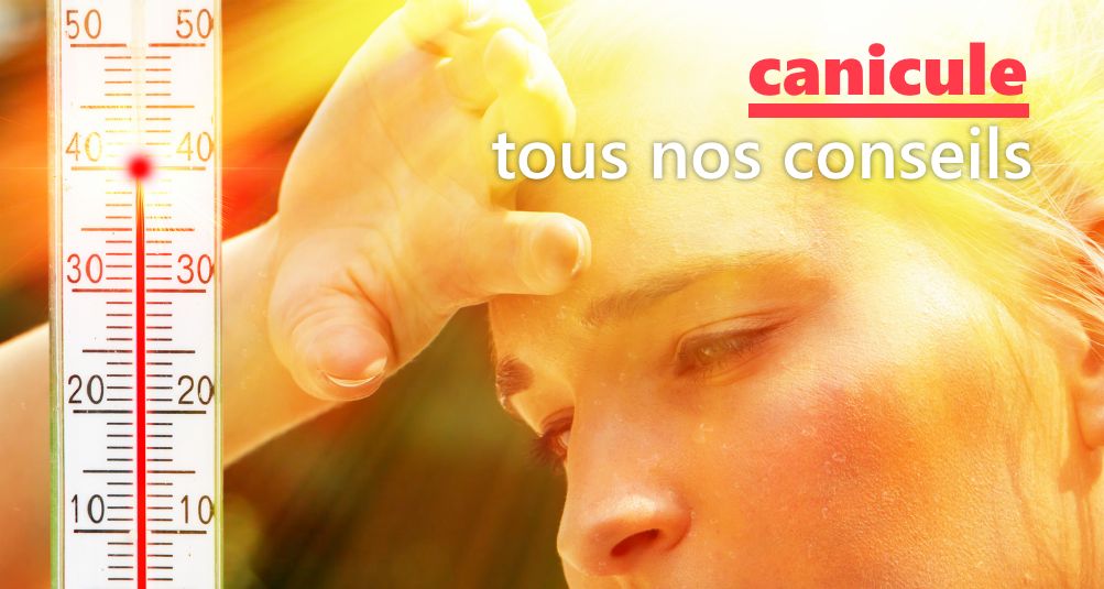 DKL - CANICULE | Tout ce que vous devez savoir pour aborder au mieux le ...