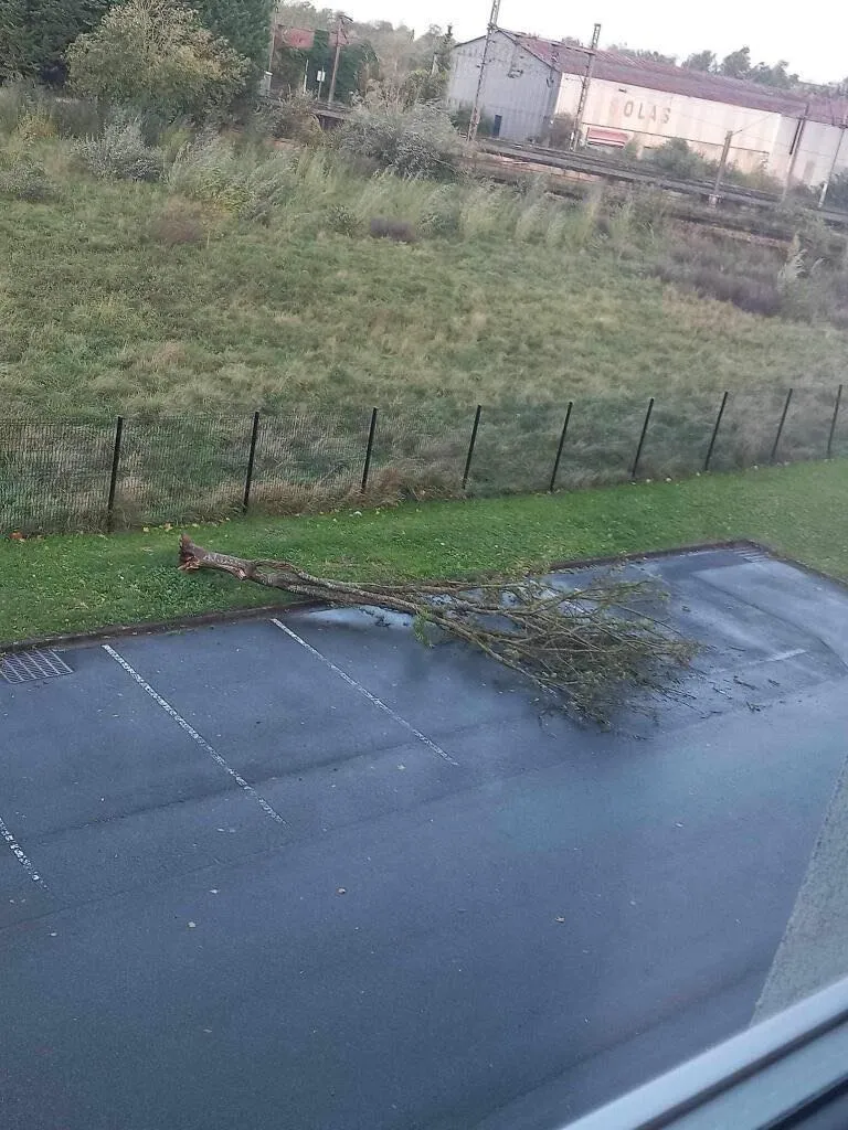 377292557_1002819244354988_7150511369000884962_n.jpg (126 KB)