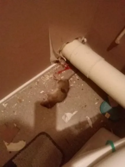 429118685_3613750845531802_6679854807028496863_n.jpg (31 KB)