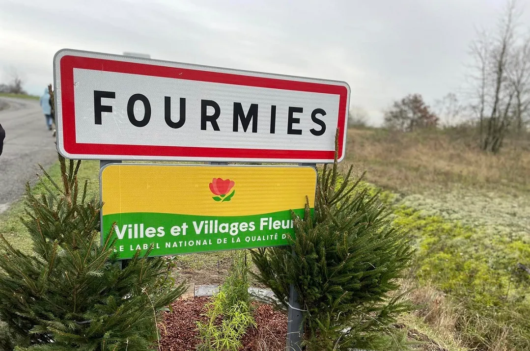Fourmies Fleur 2.jpg (327 KB)