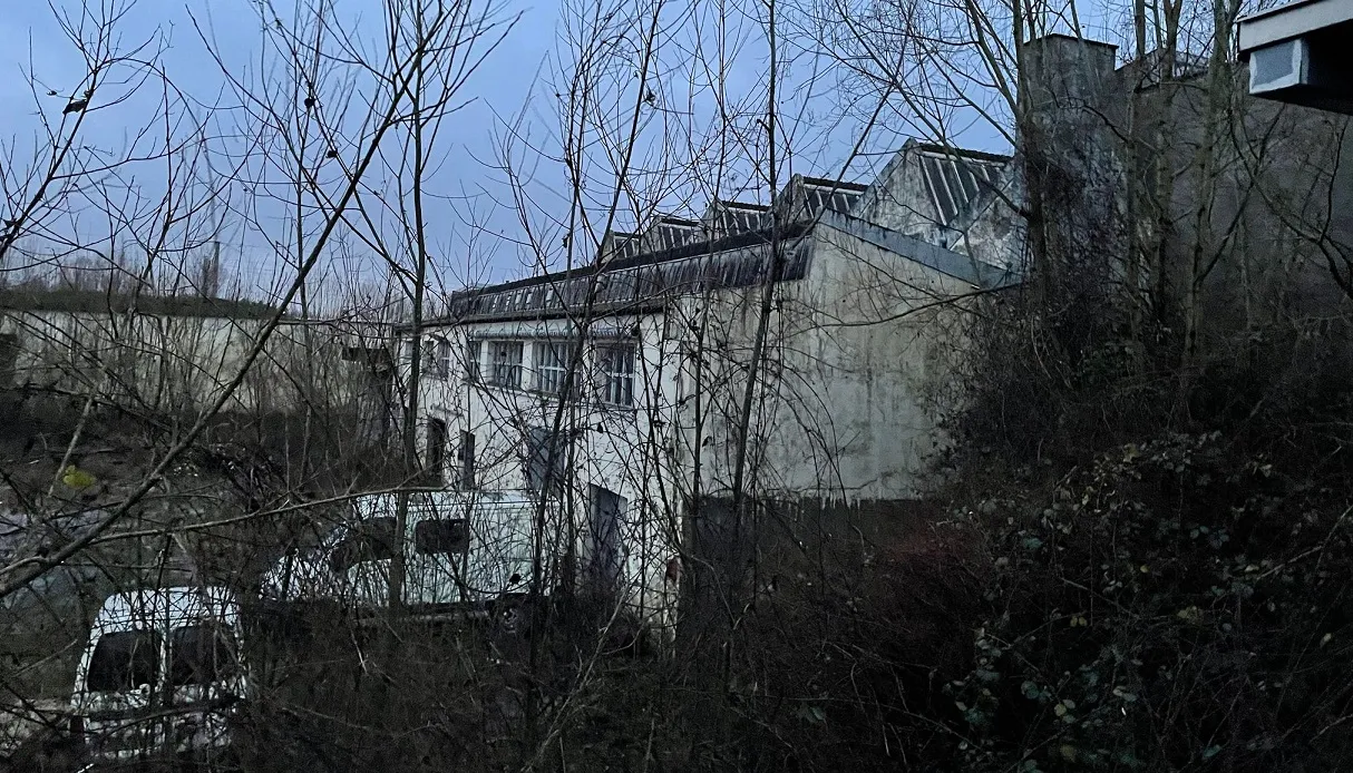 Bigard 4.jpg (479 KB)