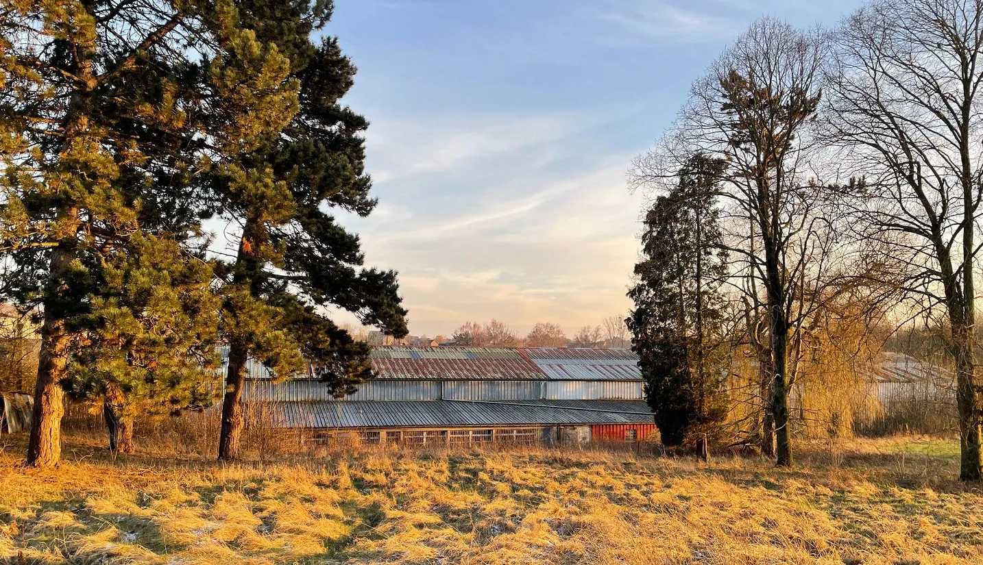 Ph&eacute;nix 3.jpg (768 KB)