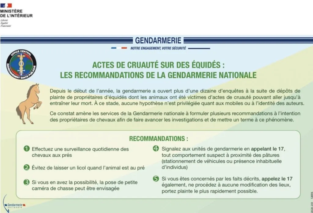 118703543_3157262311057143_5657542628238825076_o.jpg (81 KB)