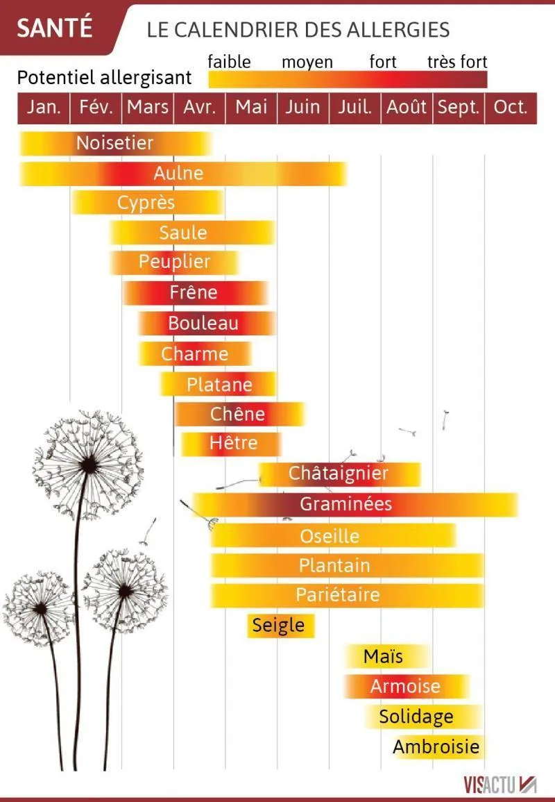 B9719697726Z.1_20190524161128_000+G5DDMOR0J.2-0.jpg (104 KB)