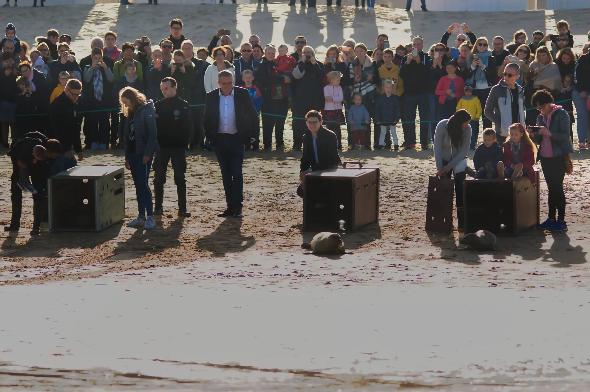 44524497_507316606399193_9149362414540554240_o.jpg (270 KB)