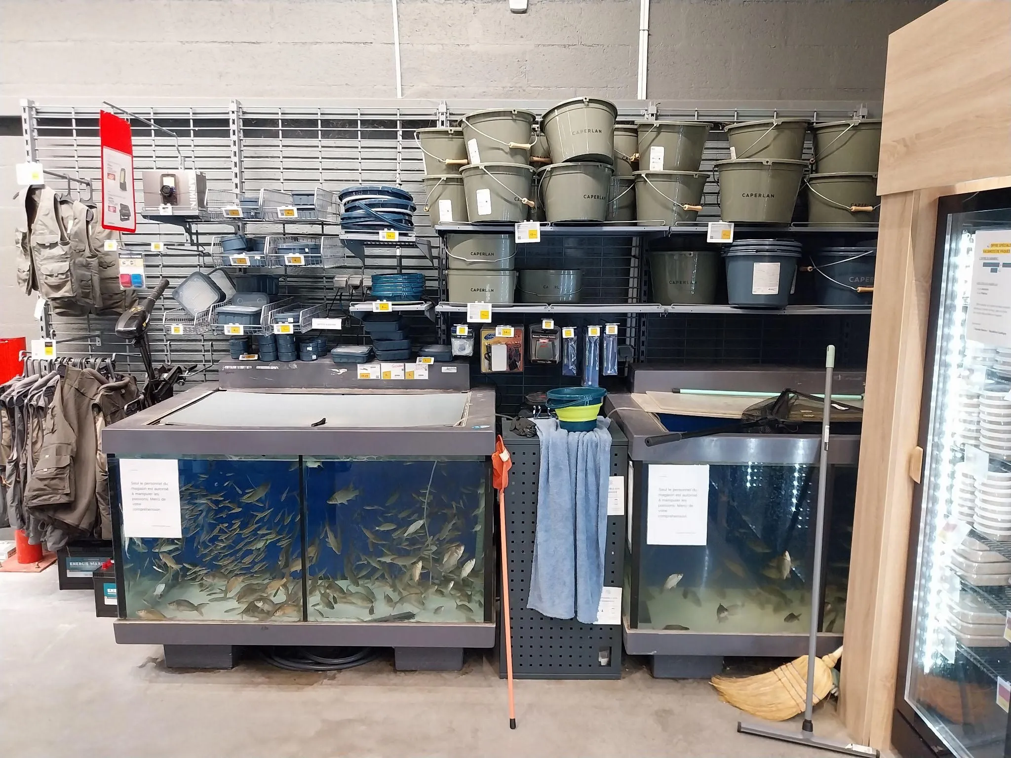 Des poissons vivants sont en vente au magasin Decathlon Dijon - Quetigny.