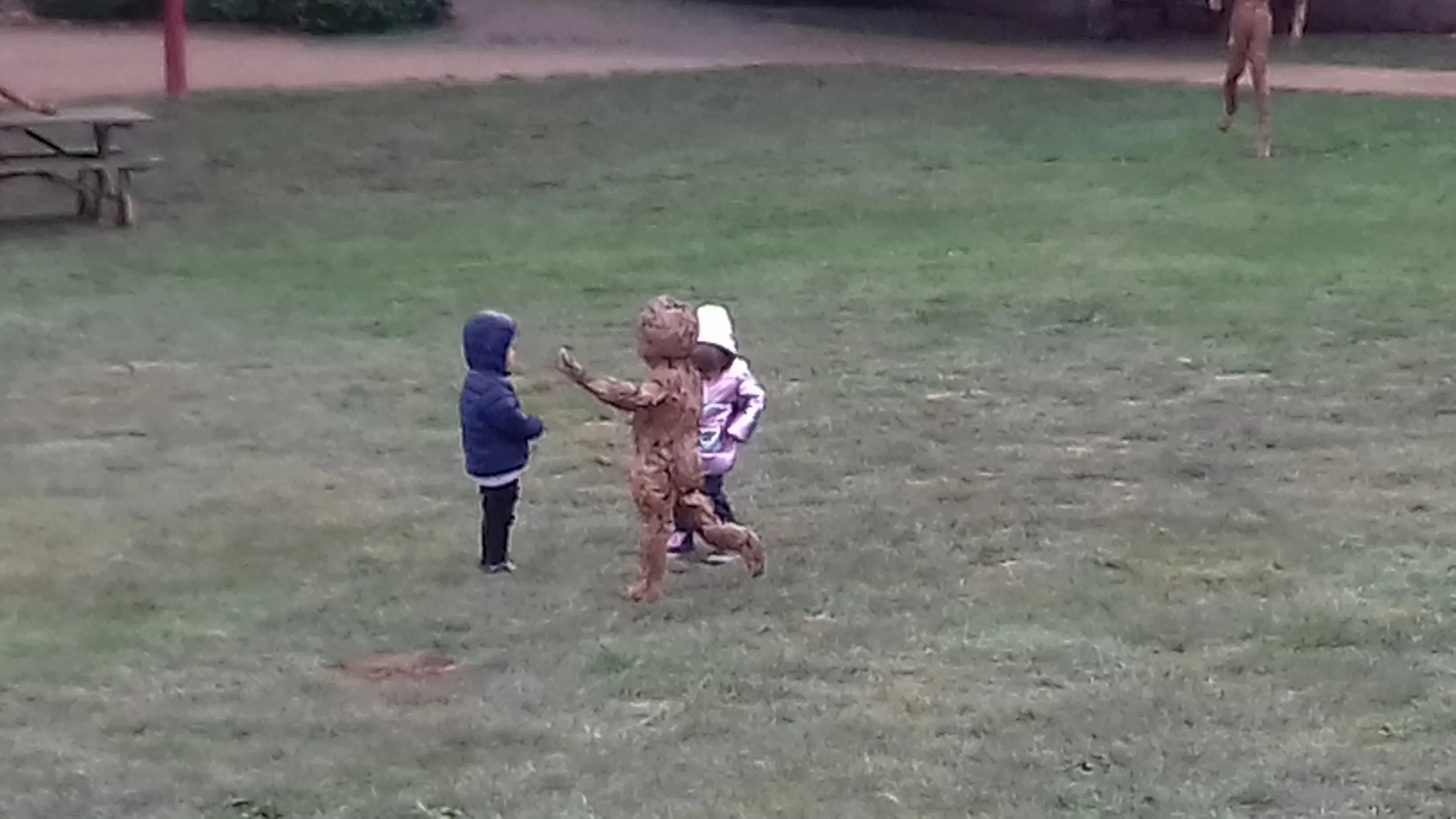 Anges feuillus Bozouls