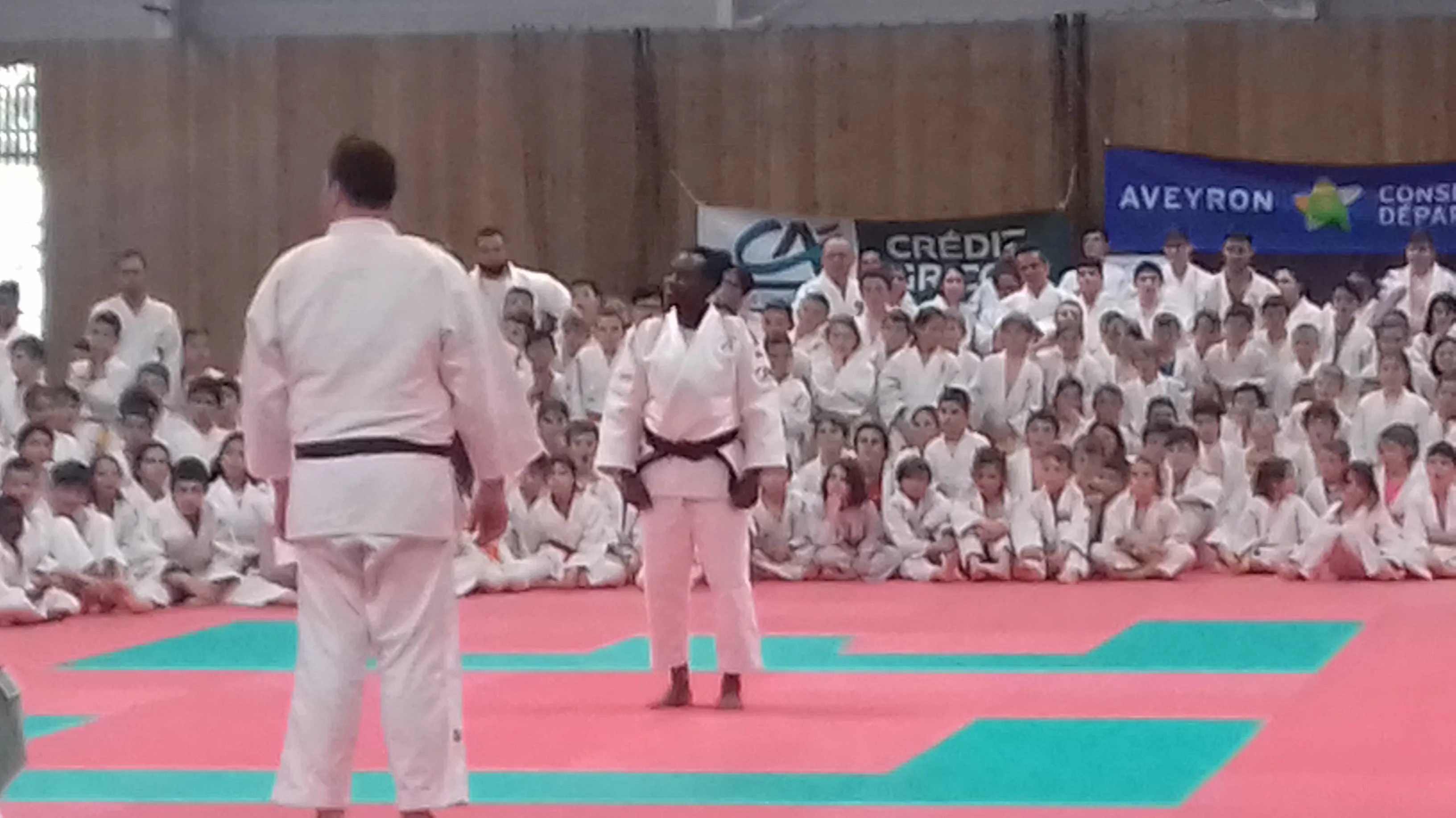 Judo EdF 2
