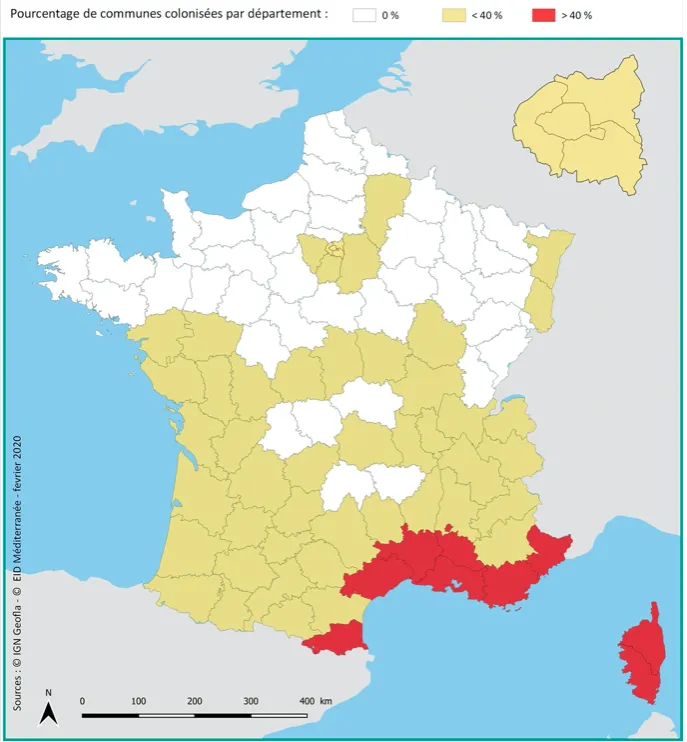 Moustique tigre France 2020