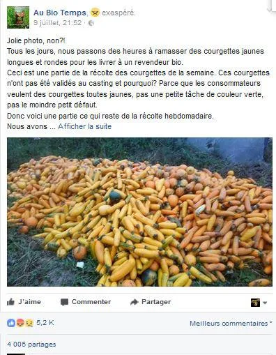 COURGETTELAFRANCAISE3