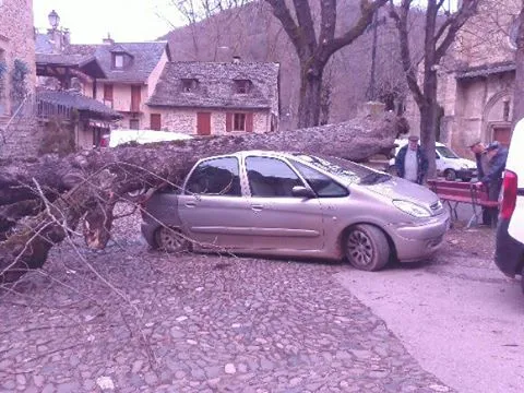 arbre voiture stgeniez
