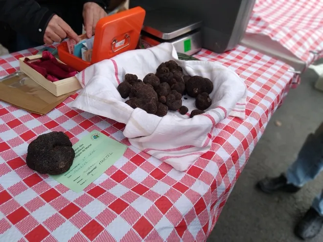 TRUFFES DU QUERCY