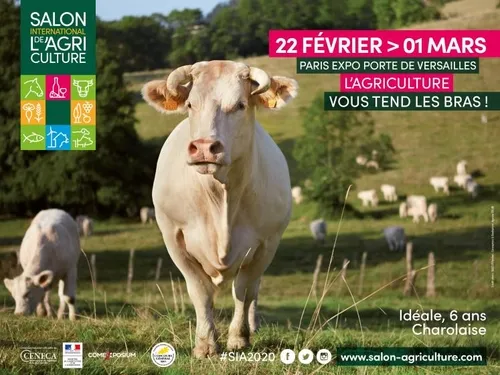 siaAFFICHE 40X30 RVB MD